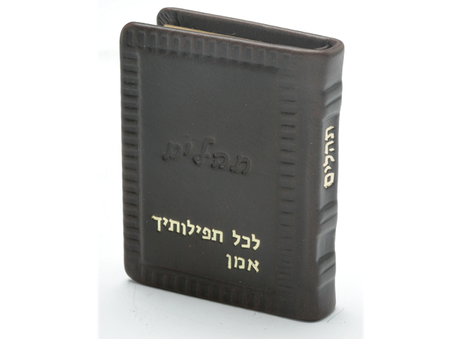 Pocket Psalms in Hebrew 